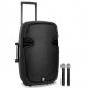 Enceinte sono, portable, mobile sur batterie, USB, SD, Bluetooth