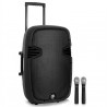 Enceinte sono, portable, mobile sur batterie, USB, SD, Bluetooth
