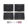 Transformateur audio RCA via RJ45