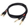 Location Câble Rca-Jack Mono